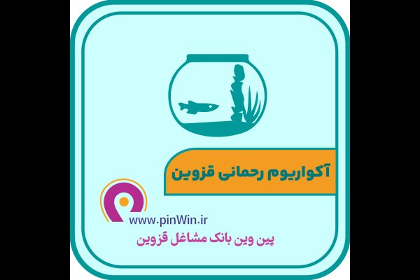 بهترین آکواریوم در قزوین The best aquarium shop in Qazvin