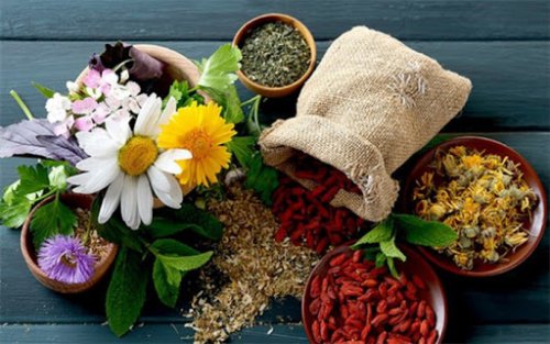 تاریخچه طب سنتی و مراکز آن در قزوین
