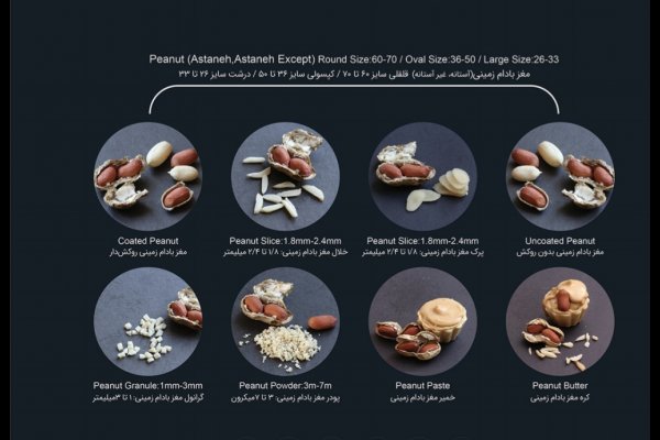 گالری تصاویر شرکت خشکبار آریا ناب قزوین