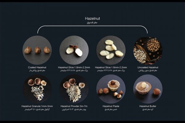 گالری تصاویر شرکت خشکبار آریا ناب قزوین