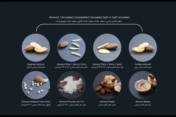 گالری تصاویر شرکت خشکبار آریا ناب قزوین